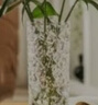 吕姆克花瓶插花瓶玻璃瓶插花水养客厅茶几玄关摆件鲜花干花假花容器5639 实拍图