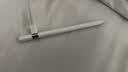 Apple/苹果 Pencil(USB-C) 磁吸触控笔手写笔苹果笔电容笔iPad笔 适用iPad(A16)/mini/Pro/Air 实拍图