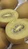 佳沛（zespri）新西兰 阳光金奇异果12粒特大果单果124-146g 猕猴桃水果礼盒 实拍图