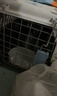 宠物航空箱猫咪空运包猫笼猫包狗狗托运便携车载猫箱子 灰色大号【48*32*30cm】 航空箱 实拍图