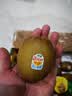 佳沛（zespri）新西兰阳光金奇异果巨大果22粒原箱单果146-175g 猕猴桃水果礼盒 实拍图