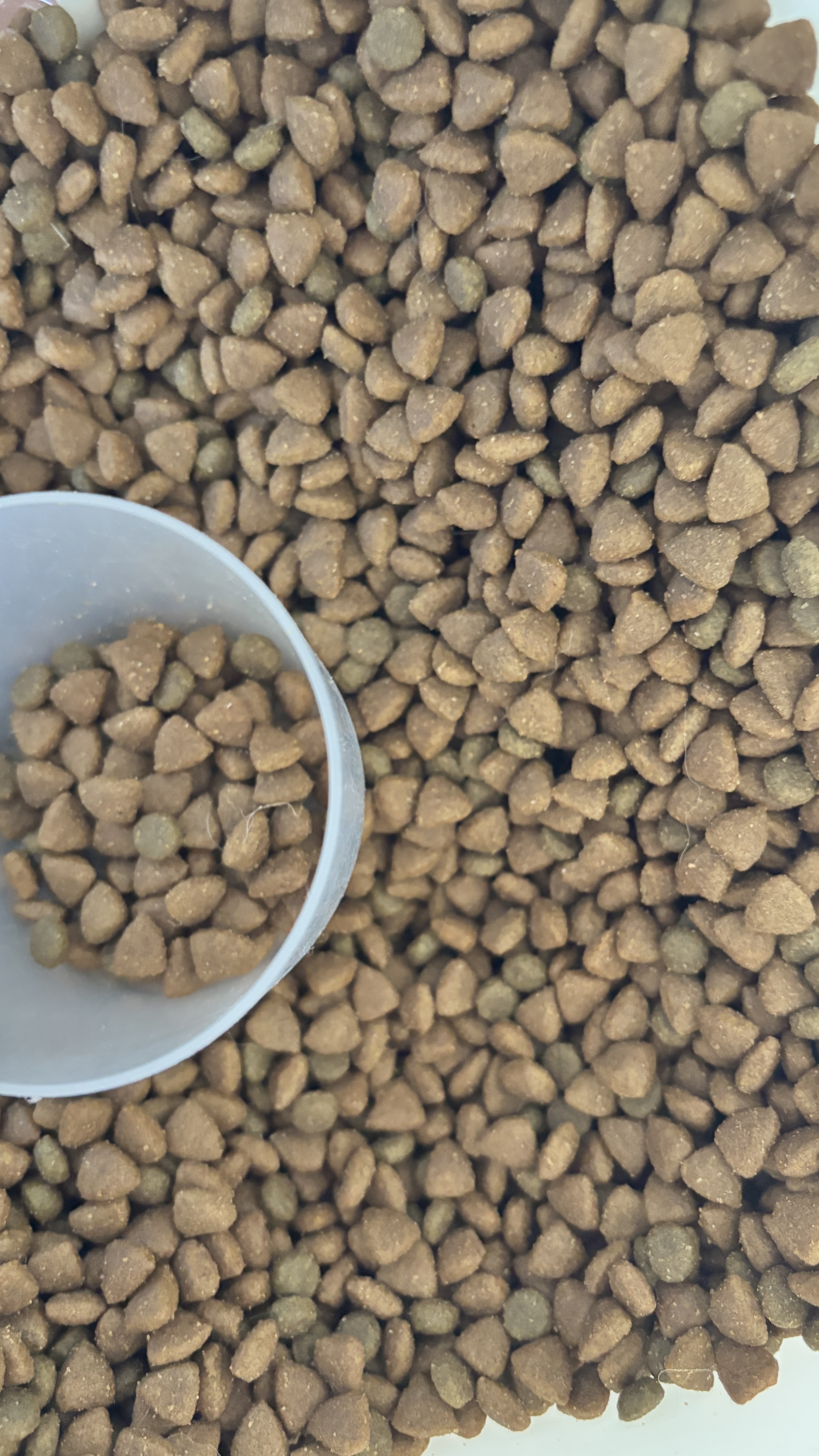 藻趣儿 猫粮 藻趣儿通用成猫粮 【推荐】三文鱼通用成猫粮 10kg 实拍图