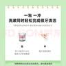 保丽净假牙清洁片24片 全半口洁牙片泡腾片便携洗牙清洁口腔 京东自营 实拍图