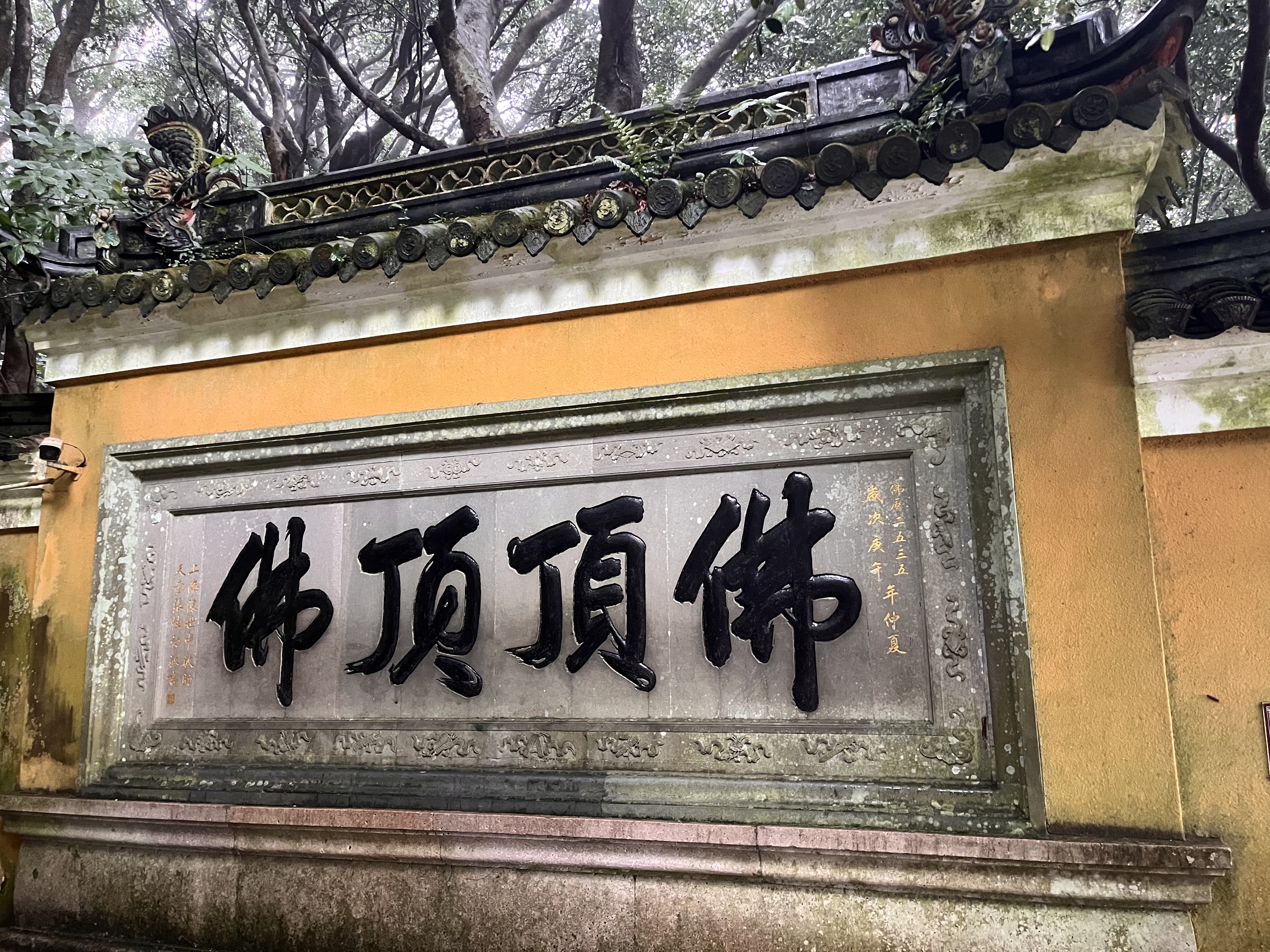 【原研进口】立思丁 夫西地酸乳膏 15g:0.3g/盒 实拍图