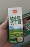 风行纯牛奶200mL*24盒高温灭菌生牛乳苗条砖礼盒装整箱早餐奶团购 实拍图