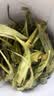 得沁堂国药药材肾精草肾精茶黄金草嗷嗷叫长白山特产正宗野外生正品 实拍图