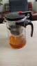 飘逸壶泡茶壶耐热高温玻璃沏茶过滤内胆冲茶器家用茶具套装 飘逸杯500mL1个 实拍图