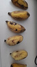 苹果蕉新鲜广西香蕉自然熟芭蕉香甜粉糯万澄现摘生鲜现发水果 带箱3斤 实拍图
