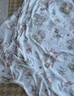 艾舞戈儿童舞蹈服中国舞练功服北舞英皇考级芭蕾舞纱裙短袖芭蕾粉 130码 实拍图