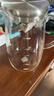 小熊（Bear）家用凉水壶 高硼硅玻璃杯1.5L 大容量冰箱冷水壶杯子啤酒杯 实拍图