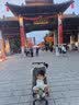 丸丫T2-2旅行家遛娃神器轻便婴儿推车可折叠登飞机火车儿童口袋推车 【T2-2旅行家】丛林绿 实拍图
