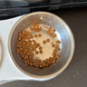 皇家猫粮 绝育成猫粮 SA37通用粮 1-7岁10KG 实拍图