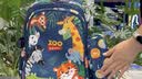 Edison爱迪生小学生书包护脊减负大容量防泼水防下坠儿童背包2213-6s 实拍图
