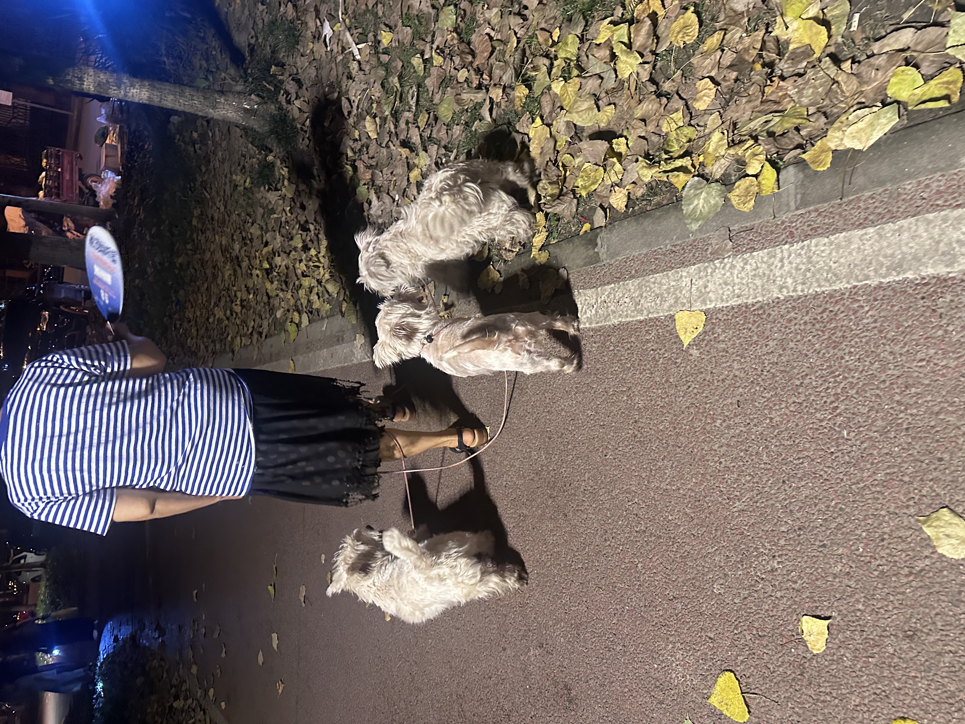 良品铺子迷你小香肠（黑椒味）235g约25小包猪肉肠小香肠休闲零食 实拍图