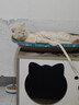【京东快递】猫抓板磨爪猫窝椭圆形猫抓盆猫抓板巨大耐磨特大号 巨无霸椭圆61*36【15斤内 随机花边】 下单送猫薄荷 实拍图