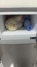 华宝小冰箱迷你小型家用冷藏冷冻两用一级能效出租房宿舍用办公室节能省电双门电冰箱 【店长推荐】58L银色【一级能效】 实拍图