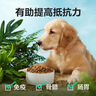 网易严选犬粮 宠爱相伴全价狗粮幼犬中小型犬成犬通用泰迪柯基 2.5kg 实拍图