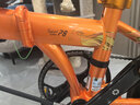 大行（DAHON）P8折叠自行车经典成人20英寸8速折叠车男女式运动单车KBC083 流霞砂【马年纪念款】 实拍图