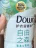 当妮护衣留香珠自由之森200g 12周持久留香 99%除菌除螨 非柔顺剂 实拍图