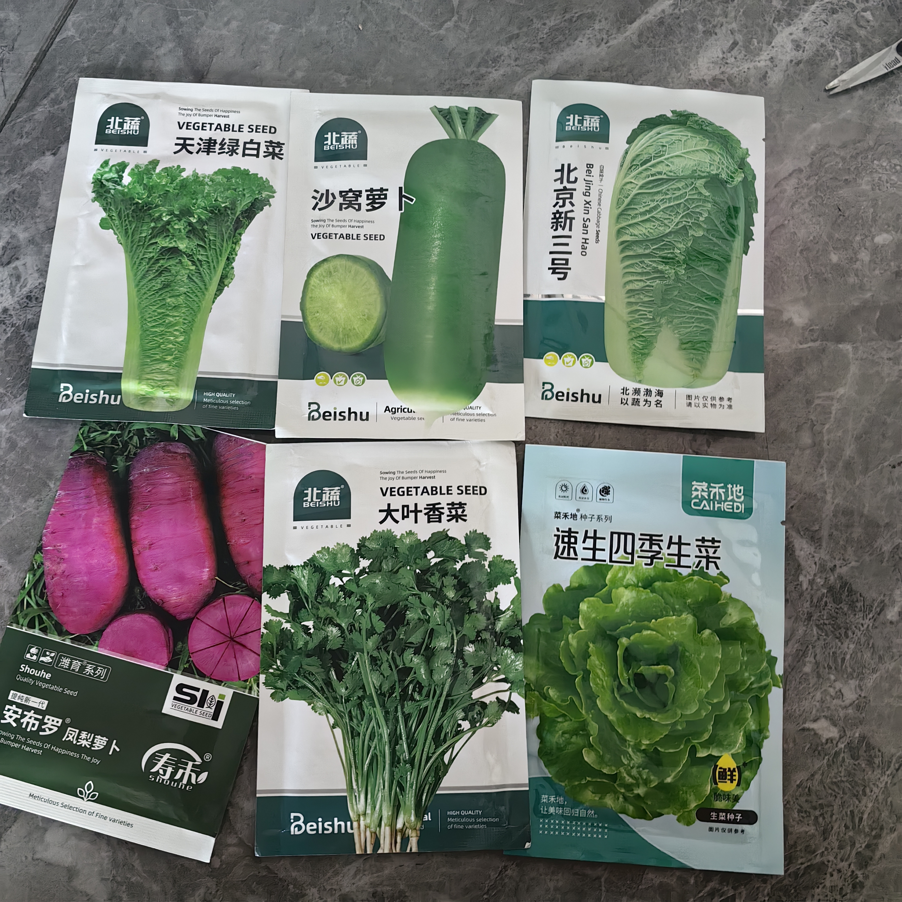 北蔬白菜种子苗青麻叶直筒白菜夏秋蔬菜籽 天津绿白菜种子15g约4500粒 实拍图