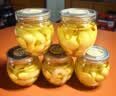 【拍一发五】头茬新鲜山东枸杞泡嫩姜芽腌制下饭菜泡菜zf 【枸杞泡姜芽】5罐 308g/罐 实拍图