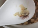 小茵姑娘去芯红莲520g 湘潭特产莲子 带皮营养 红润食补好物 五红汤原料 实拍图
