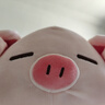 名创优品（MINISO）小猪B-BO弹力超柔趴姿公仔毛绒玩偶儿童玩具抱枕靠枕生日礼物女 实拍图