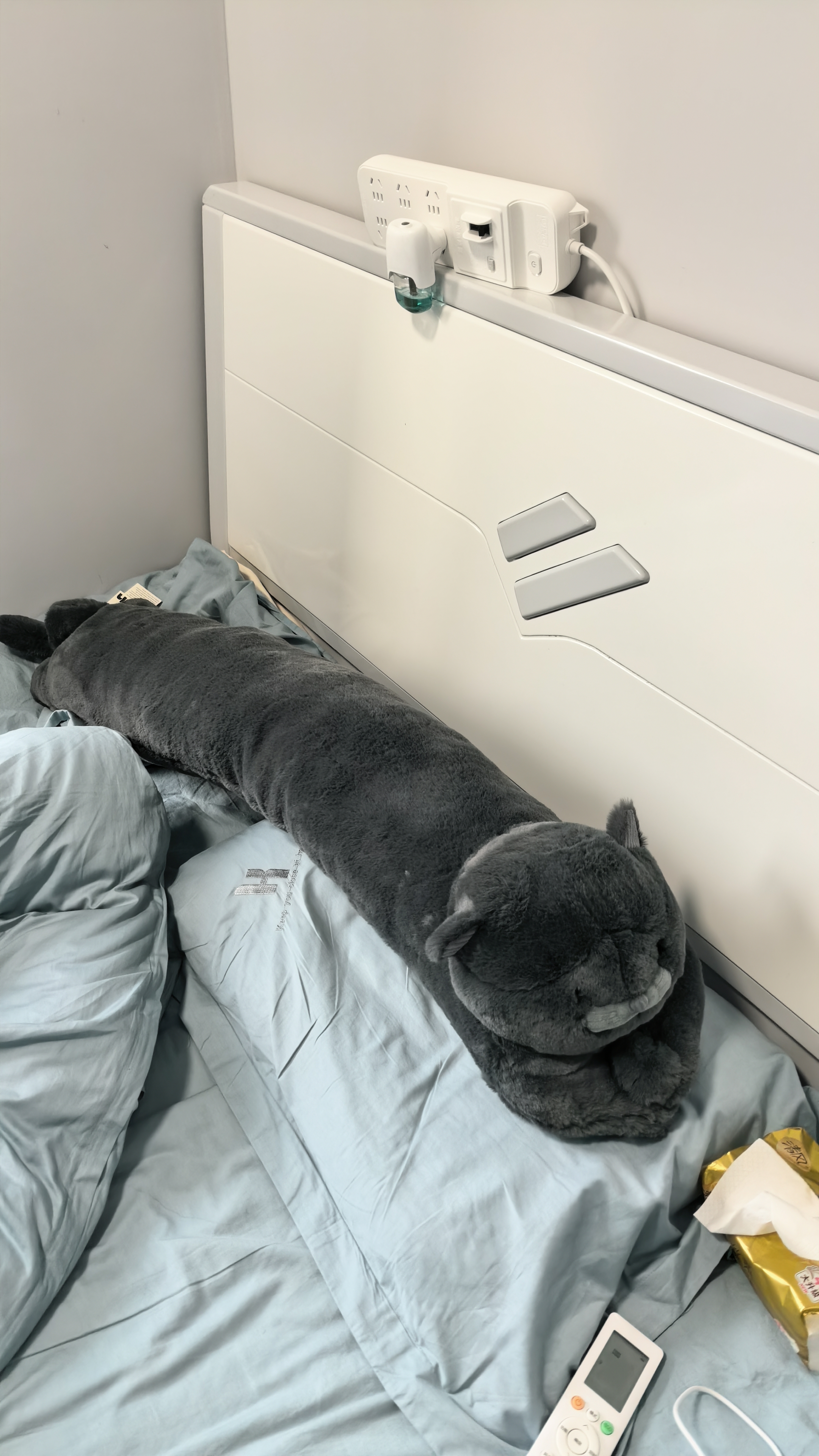 野兽派家居（tbh）懒蓝猫长条抱枕靠垫卧室夹腿办公室抱枕沙发可爱腰枕车载抱枕 实拍图