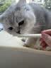 多美洁Fresh Breath猫白乐白洁齿冻干棒12g磨牙清洁口腔零食 实拍图