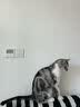 玫斯（metz）云朵主食罐宠物猫粮猫零食  美毛猫粮零食罐头布偶白猫粮罐 鸡肉配方 85g*4罐 实拍图