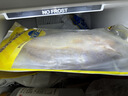 三都港南美黄鱼鲞净重600g/2条装 烧烤食材 深海鱼 黄花鱼 生鲜 鱼类 实拍图
