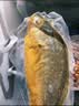 海名威 宁德三去大黄鱼 对半厚切黄花鱼 净重2斤/3片装 海鲜 生鲜鱼类 实拍图