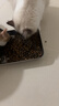 美士麦克斯成猫天然鲜肉猫粮1.8kg鸡肉味布偶蓝猫橘猫加菲英短全价粮 实拍图