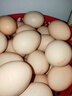 京鲜生 无抗保洁鲜鸡蛋30枚/盒 健康轻食 礼盒送礼 1.5kg/盒 源头直发 实拍图