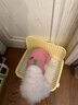 HELLOJOY狗狗厕所中小型犬防踩屎尿盆宠物用品小狗狗砂盆拉屎便盆专用大号 实拍图