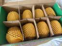 佳沛（zespri）新西兰阳光金奇异果 8个装 超大果单果重约175-204g 猕猴桃水果 实拍图