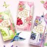 格力高（Glico）花果百醇系列 组合装48g*3盒 饼干休闲零食包装随机发货 实拍图