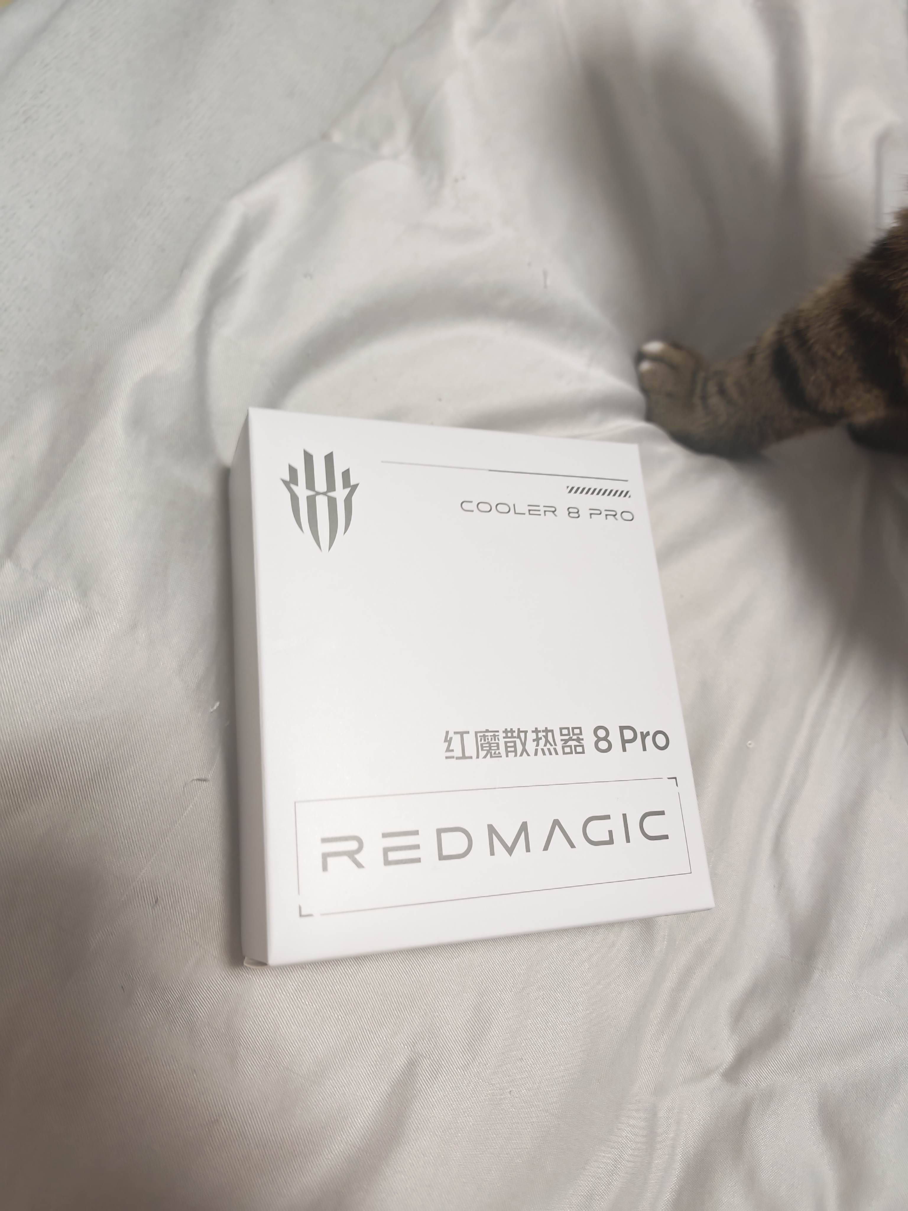 努比亚红魔8Pro磁吸手机散热器 散热背夹游戏直播低噪音半导体平板降温神器适用黑鲨iPhone17ProMax一加iqoo 实拍图