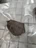佳帮手真空封口机全自动食品抽真空包装机大吸力食品腊肠肉保鲜食品塑封机 实拍图