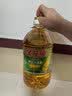 金龙鱼 食用油 非转基因 压榨 一级 纯正玉米油4L（新老包装随机发货） 实拍图