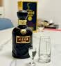 古井贡酒 原浆小酒 浓香型白酒 45度 100mL*1瓶 单瓶装 实拍图