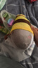 网红小鲨bee搞怪创意毛绒公仔抱枕生日情人节礼物 鲨鱼Bee 23厘米 实拍图