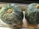 京喜加惠和1号贝贝南瓜新鲜蔬菜生鲜减肥减脂早餐沙拉单果100g起 贝贝南瓜 4.5斤 净重 中大果 实拍图
