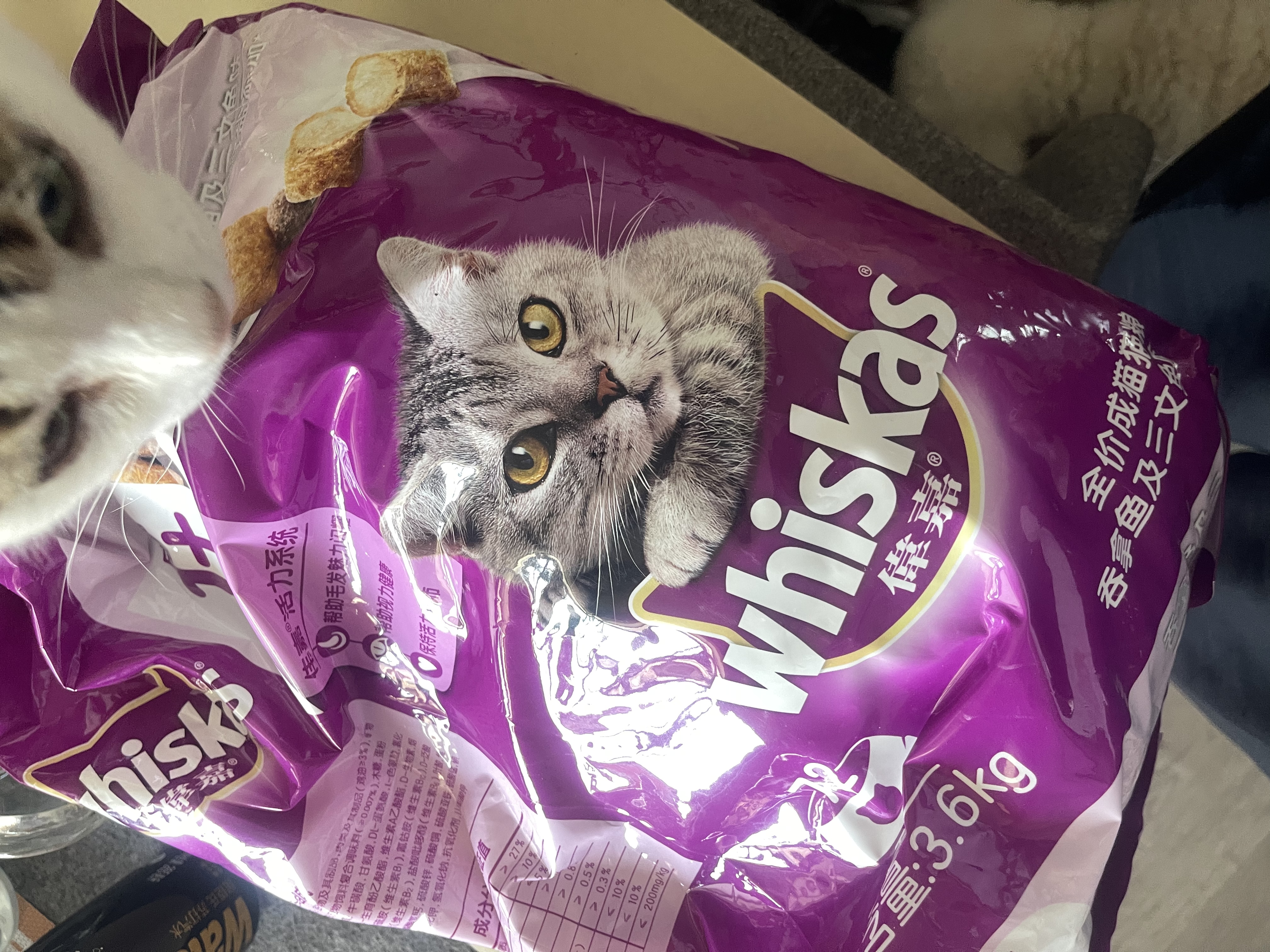 伟嘉成猫猫粮3.6kg吞拿鱼及三文鱼口味布偶加菲英短猫咪成猫全价粮 实拍图