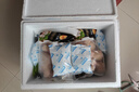 正大琵琶腿2斤 鸡腿鸡肉鸡腿肉生鲜早餐鸡腿烧烤琵琶腿 实拍图