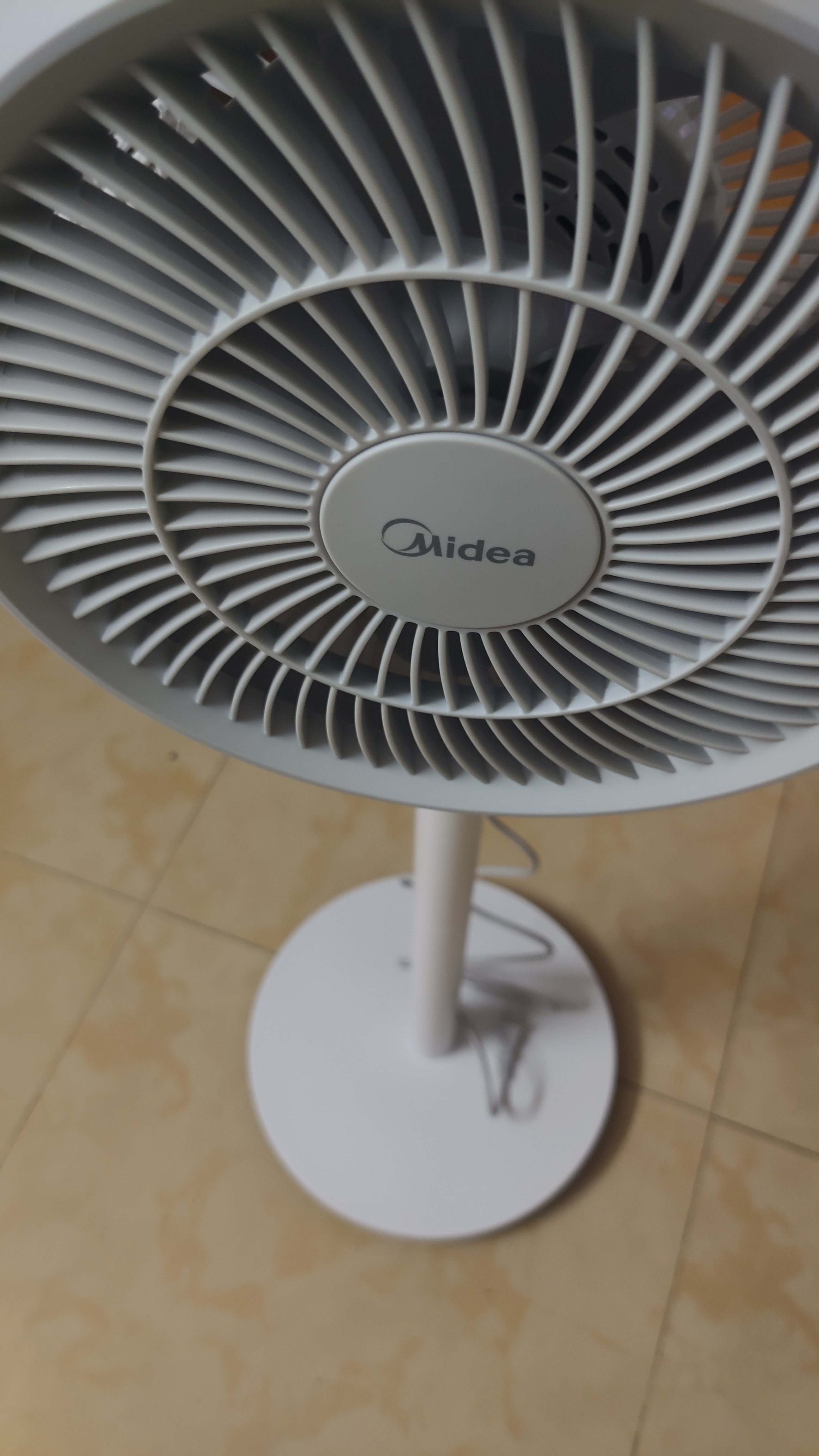 美的（Midea）【暴风循环】空气循环扇大风量电风扇落地扇轻音家用台式摇头卧室节能小风扇柔风轻羽扇 FGA24TQ 实拍图