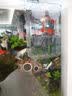 汉洋隔离盒鱼缸小鱼苗繁殖盒孔雀鱼斗鱼幼鱼生产房分养用孵化盒中号 实拍图