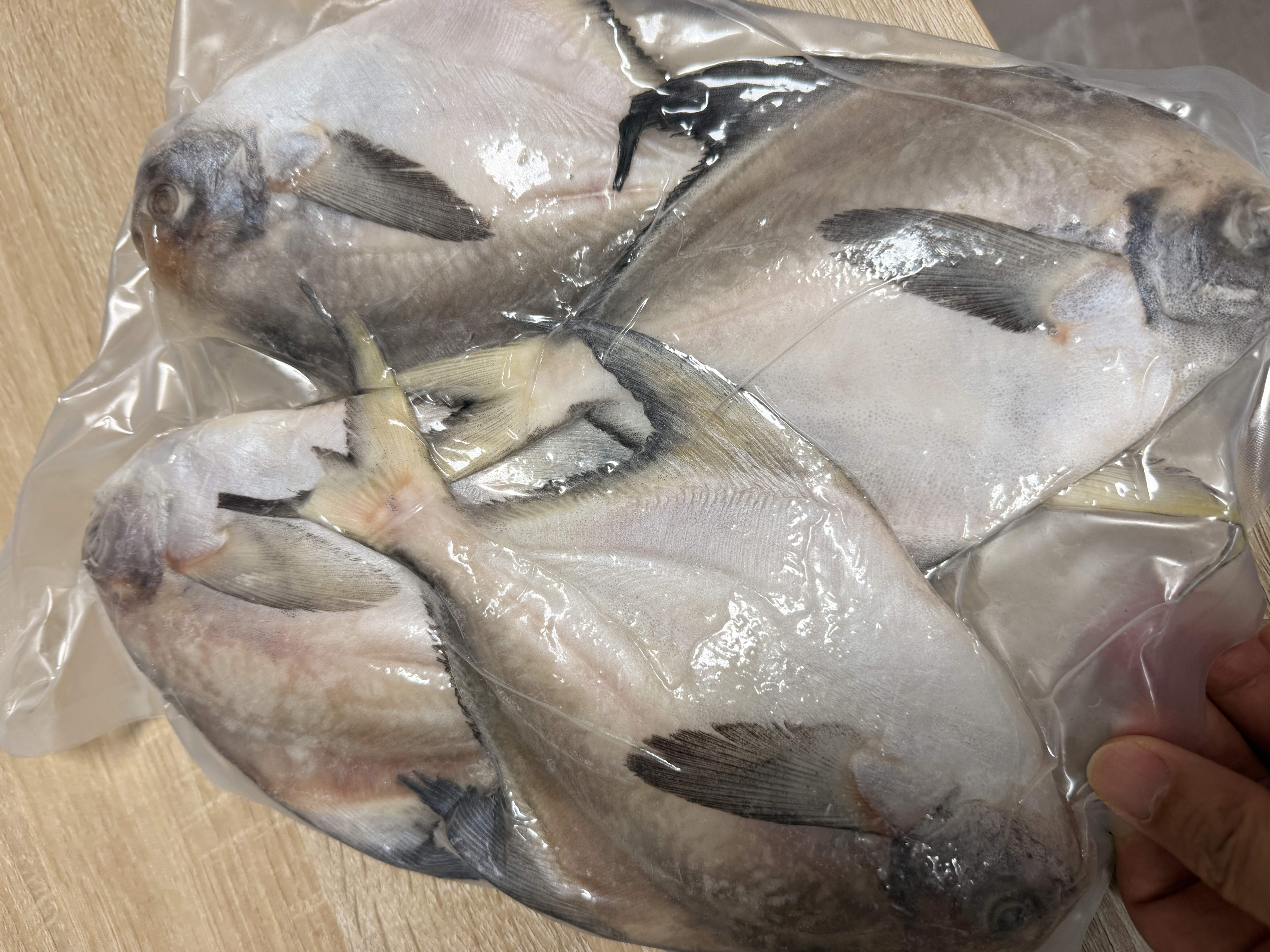趣尝鲜 鲜冻东海大银鲳鱼1kg(5条装) 平鱼 生鲜 鱼类 深海鱼 海鲜水产 实拍图