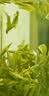 贡苑绿茶2026新茶 高山云雾毛峰150g 黄山春茶毛尖散装茶叶自己喝 实拍图