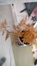 文竹盆栽绿植花卉盆景植物室内客厅水培文松云竹文竹大苗四季常青 小文竹【1颗】原盆原土球发货 高度15-25cm 实拍图